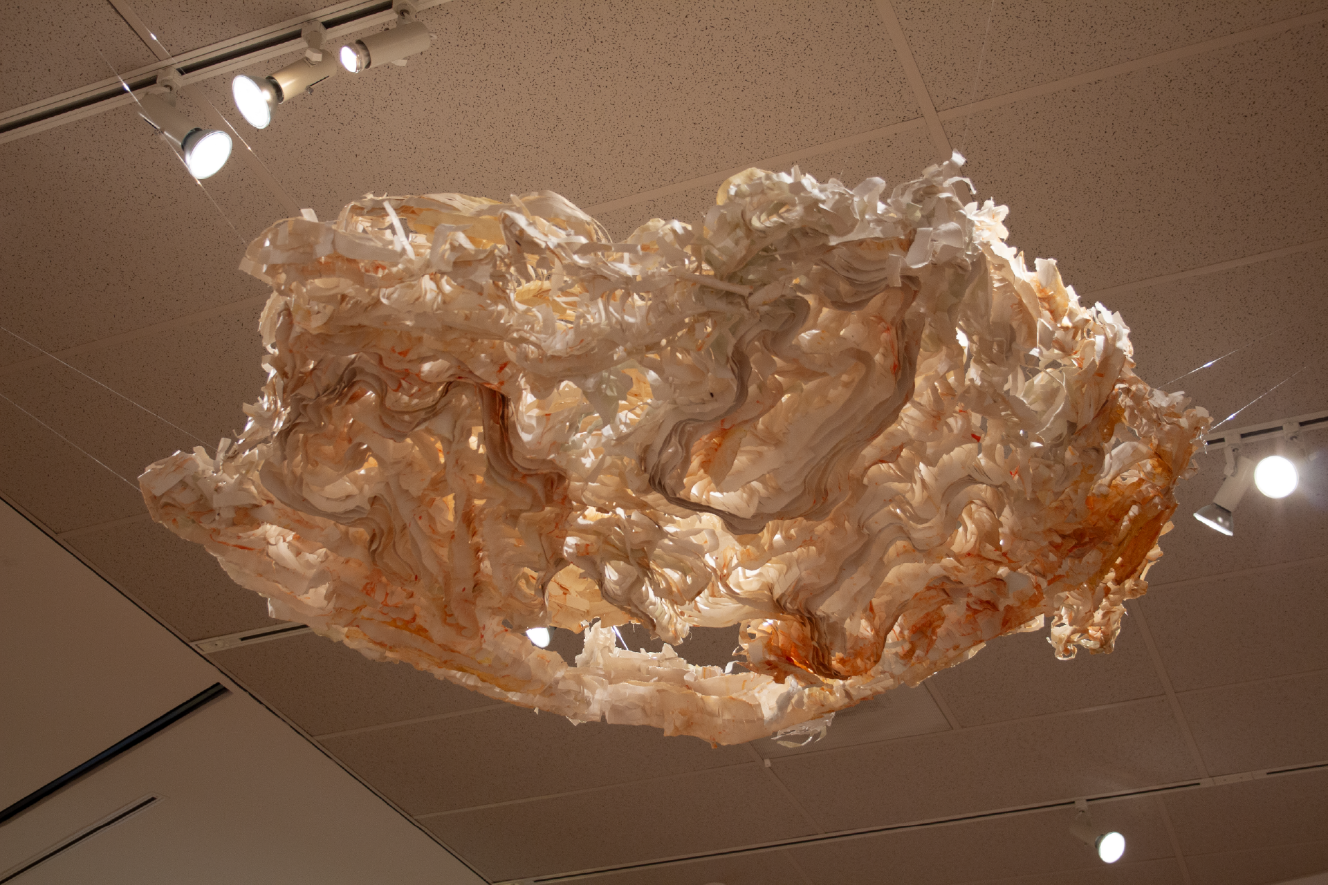 Yellowstone Pulp, 2021