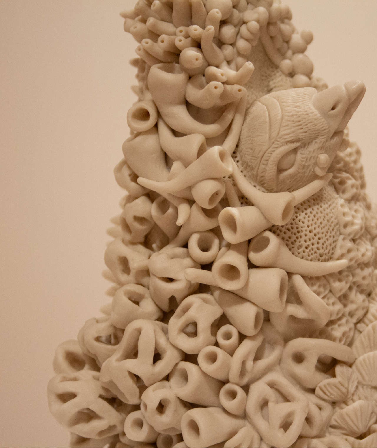 Piping Plover Charadrius melodus, 2021 close up